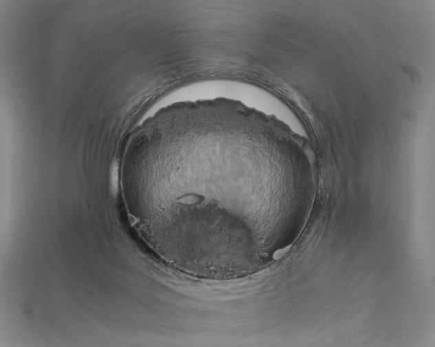 X0000115190027200911121831