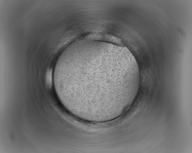 X0000115190028200911121831