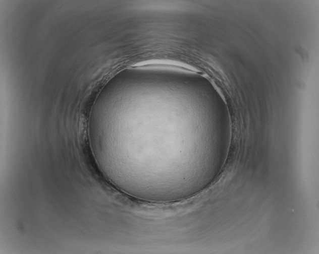 X0000115190029200911121831