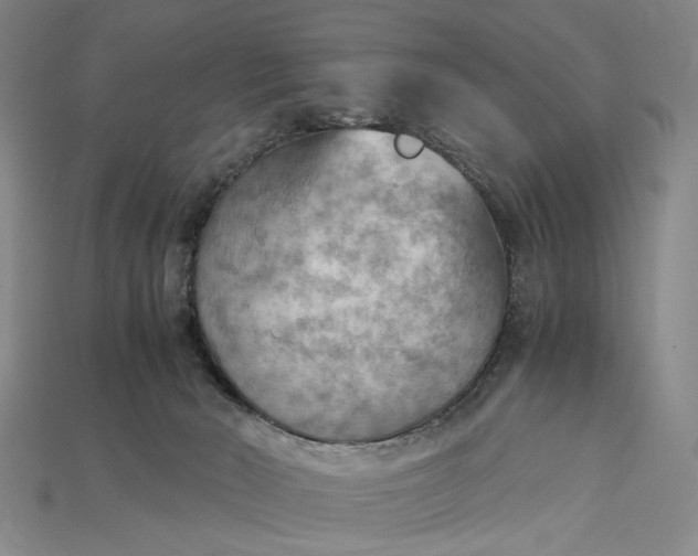 X0000115190030200911121831