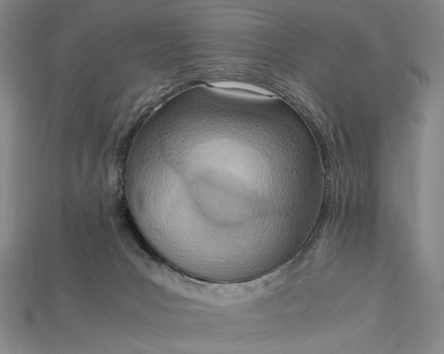 X0000115190031200911121831