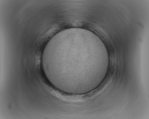 X0000115190032200911121831