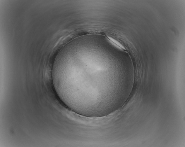 X0000115190035200911121830