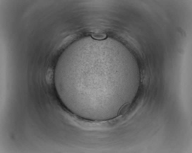 X0000115190036200911121830