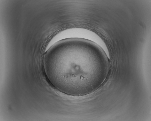 X0000115190039200911121830