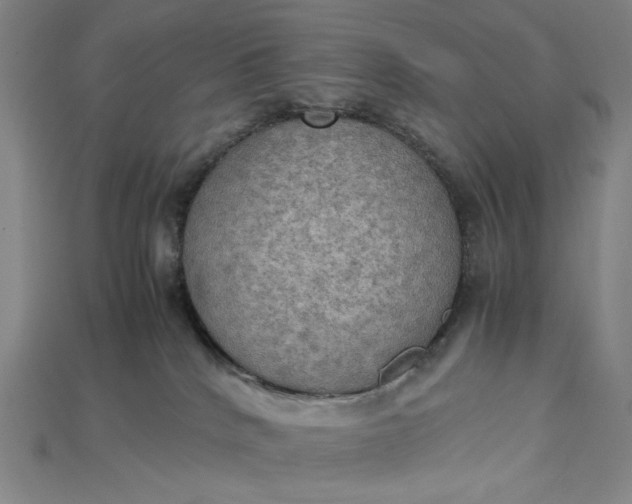 X0000115190040200911121830