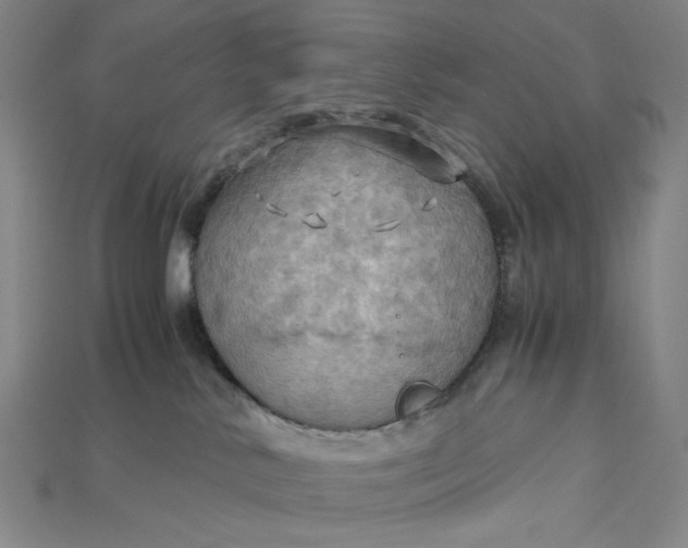 X0000115190042200911121830