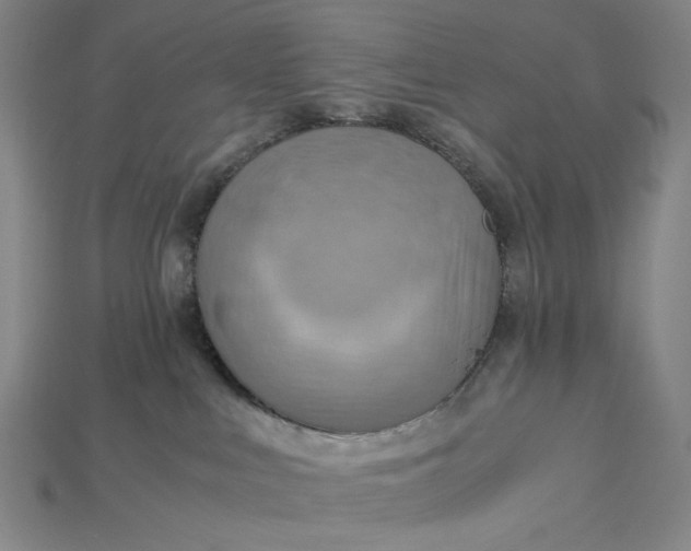 X0000115190043200911121830