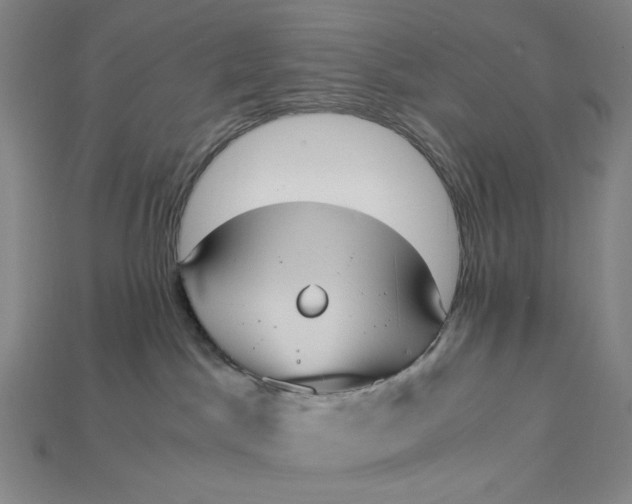 X0000115190045200911121830