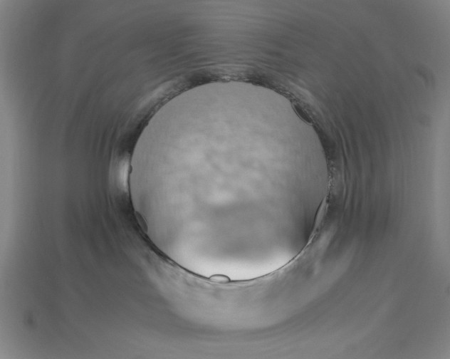 X0000115190047200911121830