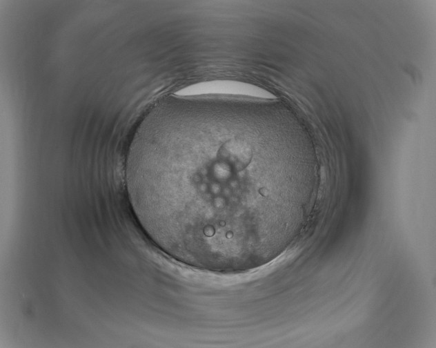 X0000115190048200911121830