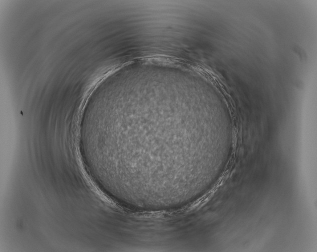 X0000115190049200911121830