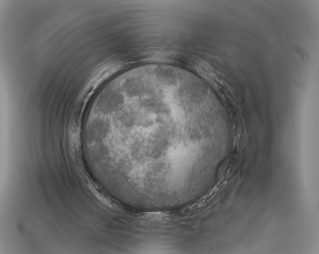 X0000115190050200911121830