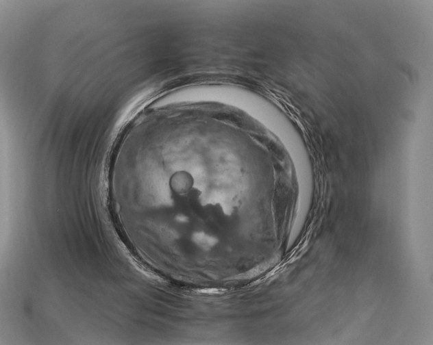 X0000115190053200911121830