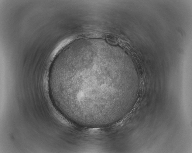 X0000115190054200911121830
