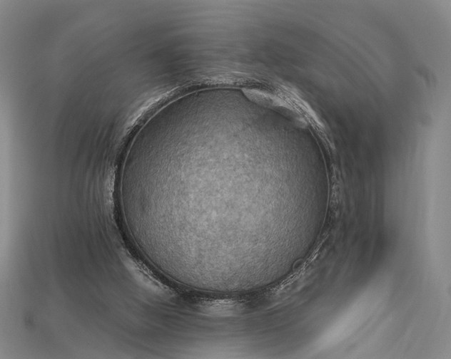 X0000115190058200911121830