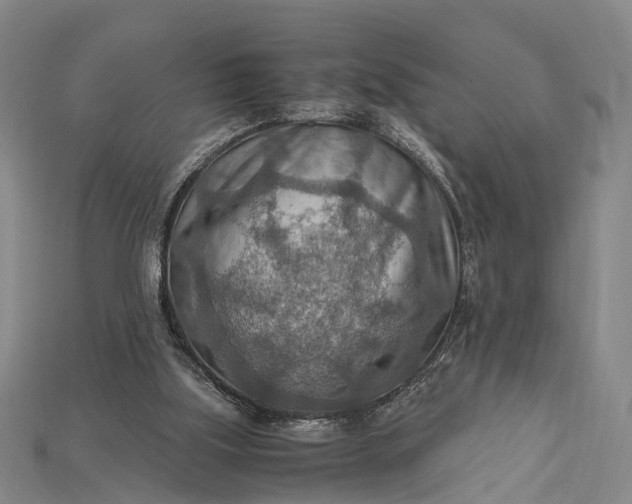 X0000115190059200911121830