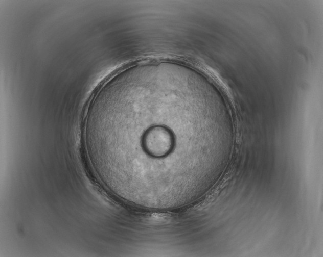 X0000115190060200911121830