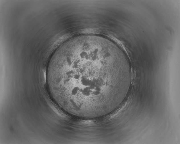 X0000115190061200911121830