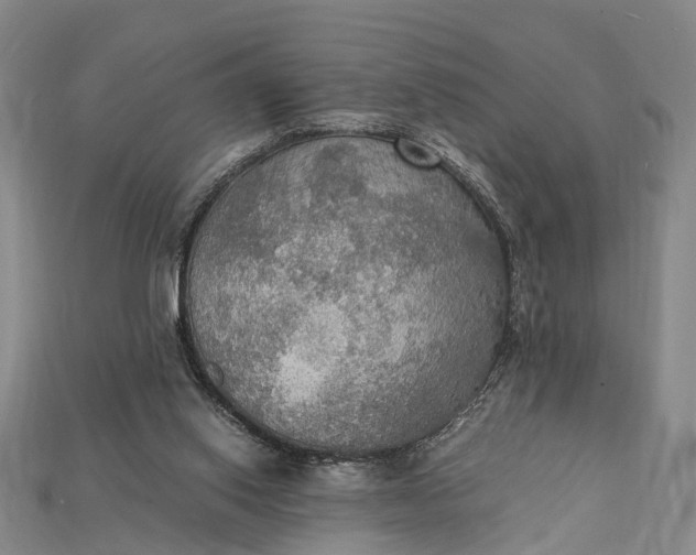 X0000115190062200911121830