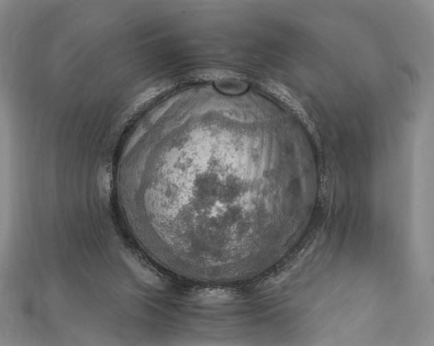 X0000115190063200911121830