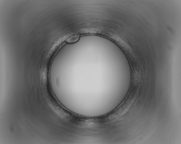 X0000115190064200911121830