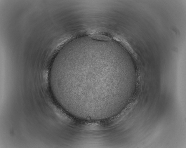 X0000115190066200911121830