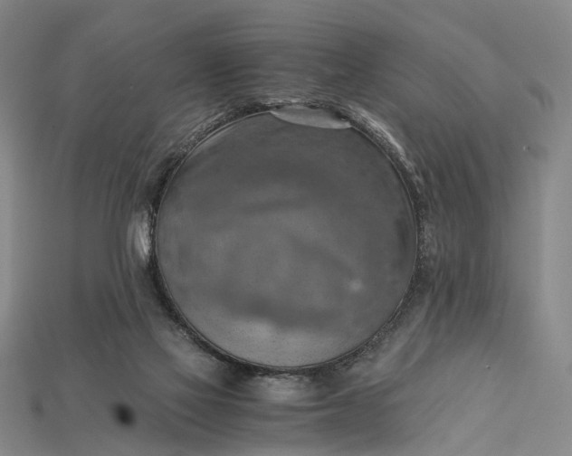 X0000115190069200911121830