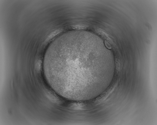 X0000115190071200911121830