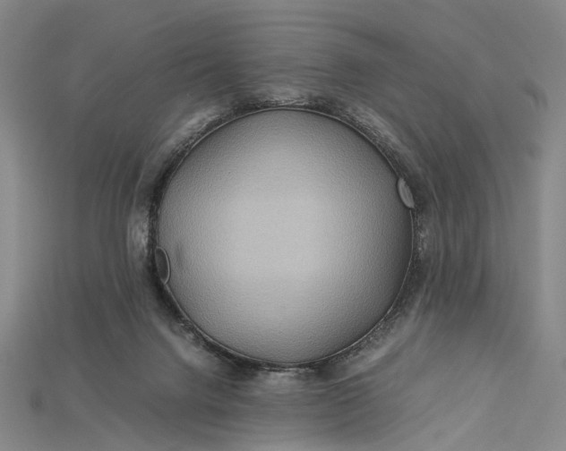 X0000115190072200911121830