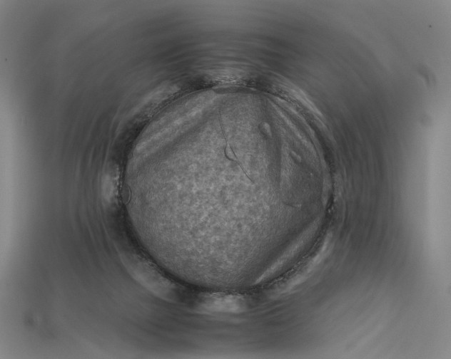 X0000115190073200911121830