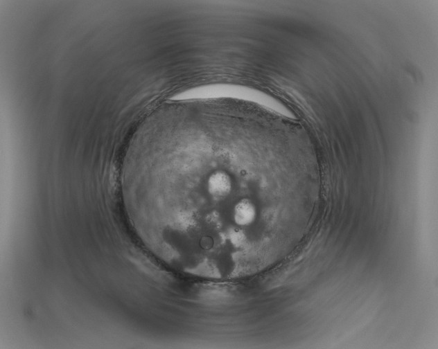 X0000115190077200911121830