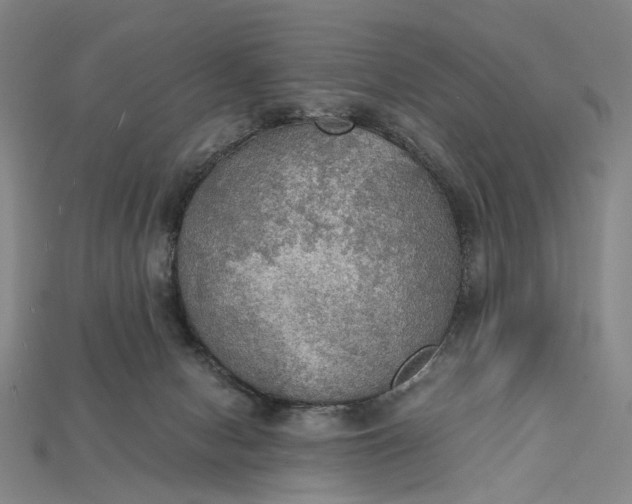 X0000115190078200911121830