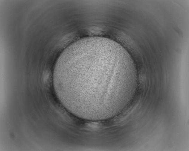 X0000115190079200911121830