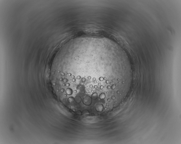 X0000115190081200911121830