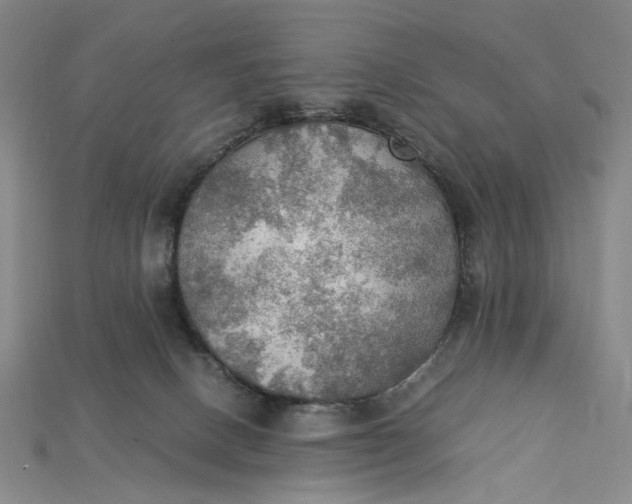 X0000115190082200911121830