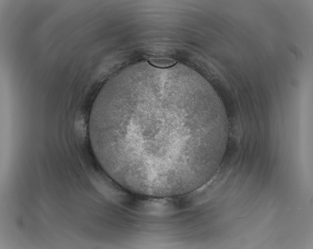 X0000115190086200911121830