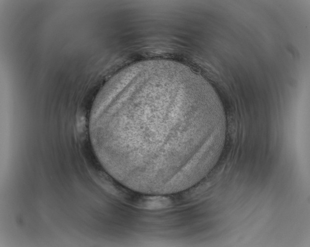 X0000115190087200911121830