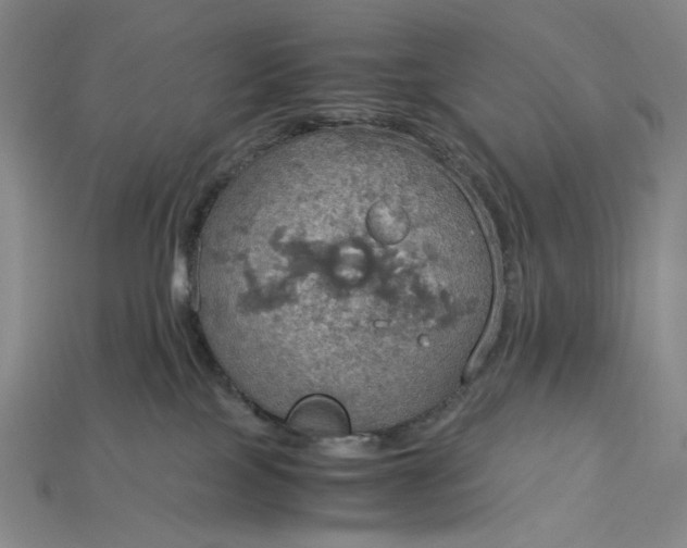 X0000115190089200911121830