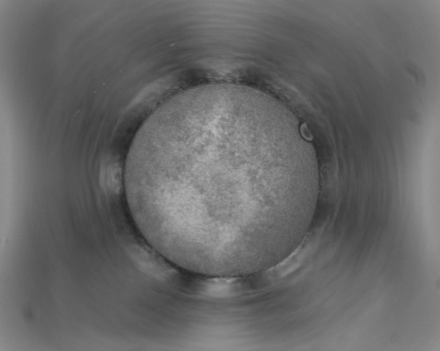 X0000115190090200911121830