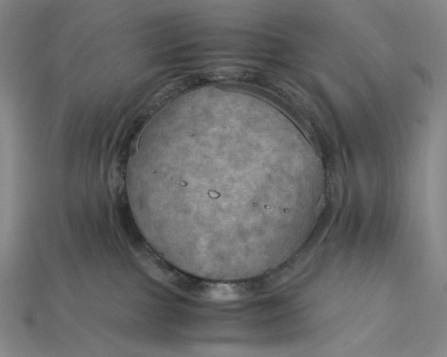 X0000115190091200911121830