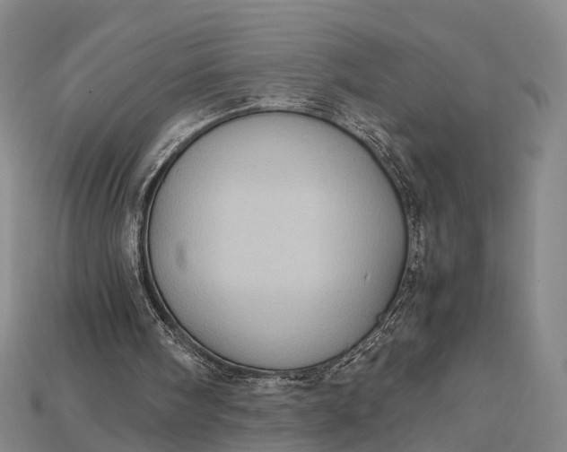 X0000115190098200911121830