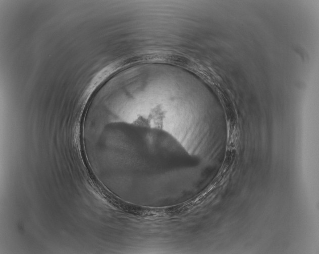 X0000115190099200911121830