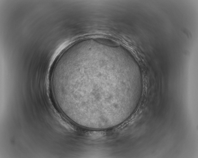 X0000115190102200911121830