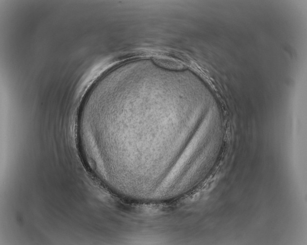 X0000115190103200911121830