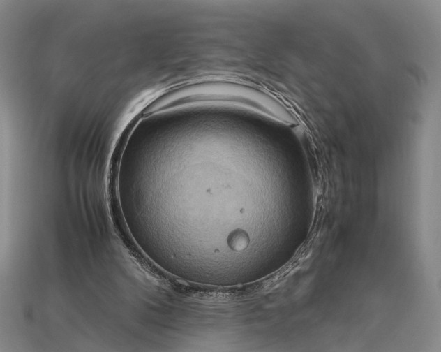 X0000115190104200911121830