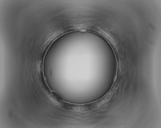 X0000115190105200911121830