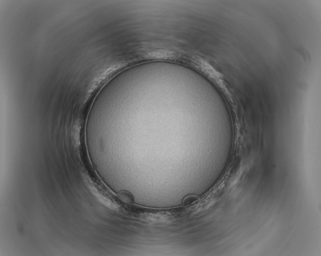 X0000115190106200911121830