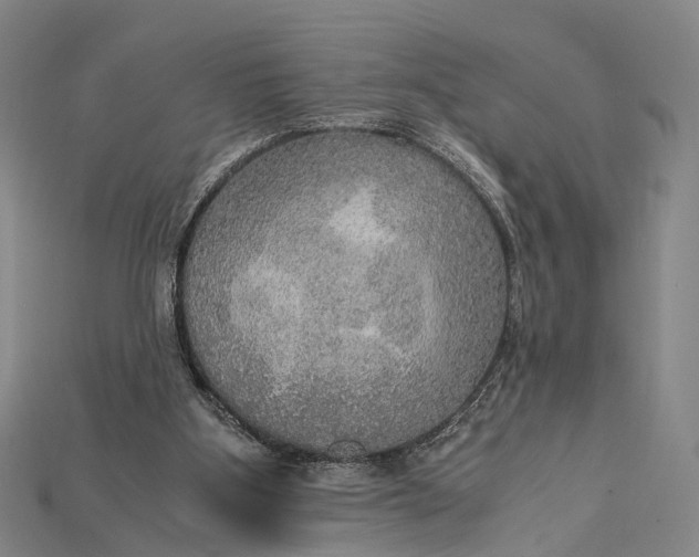 X0000115190107200911121830