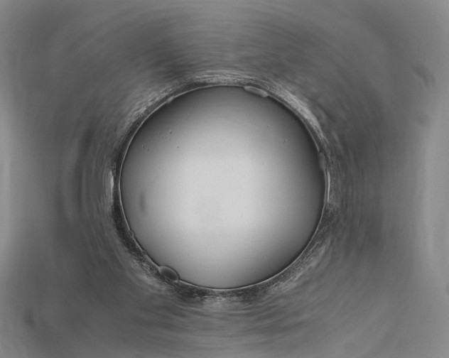 X0000115190109200911121830